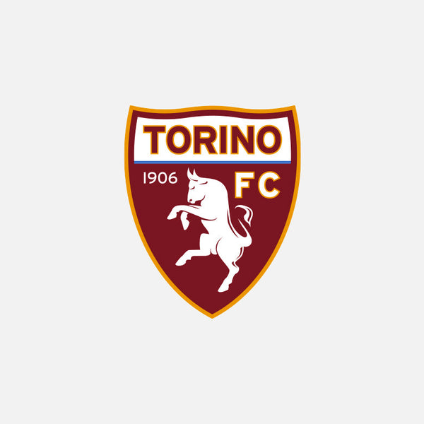 Torino FC - MC2 Saint Barth