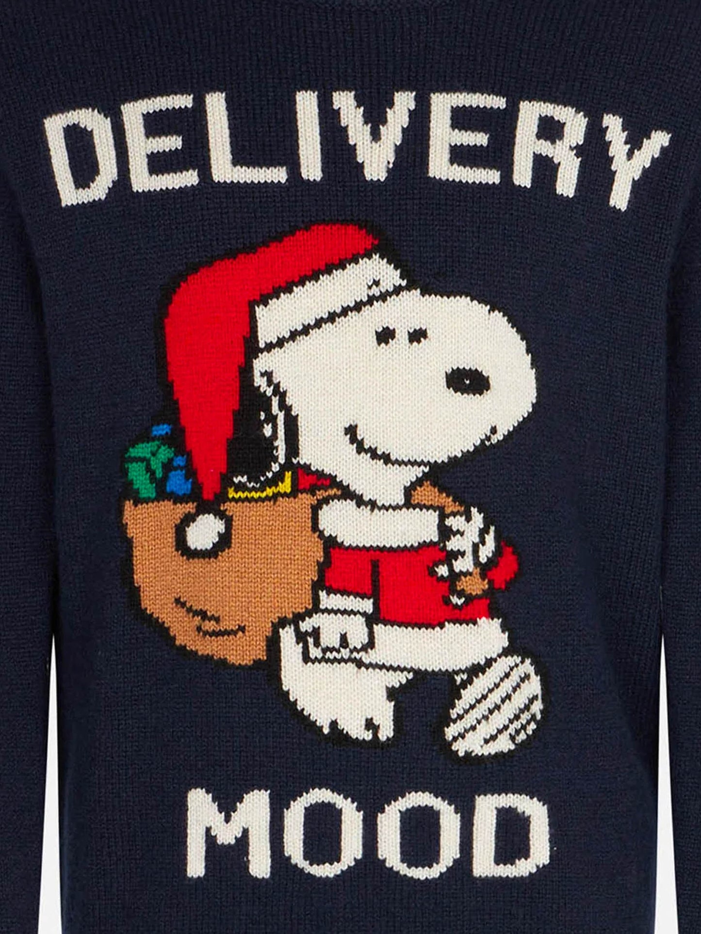 Maglione da bambino girocollo con stampa Snoopy natalizia | EDIZIONE SPECIALE PEANUTS™