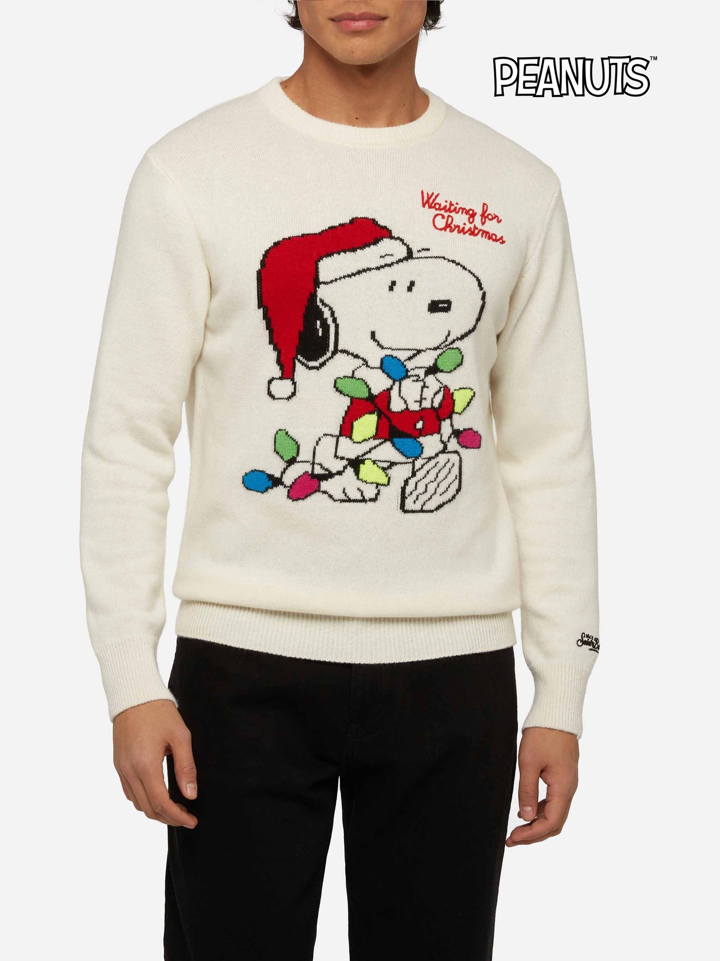 Maglione Heron con jacquard e ricamo Snoopy | SNOOPY PEANUTS® SPECIAL EDITION