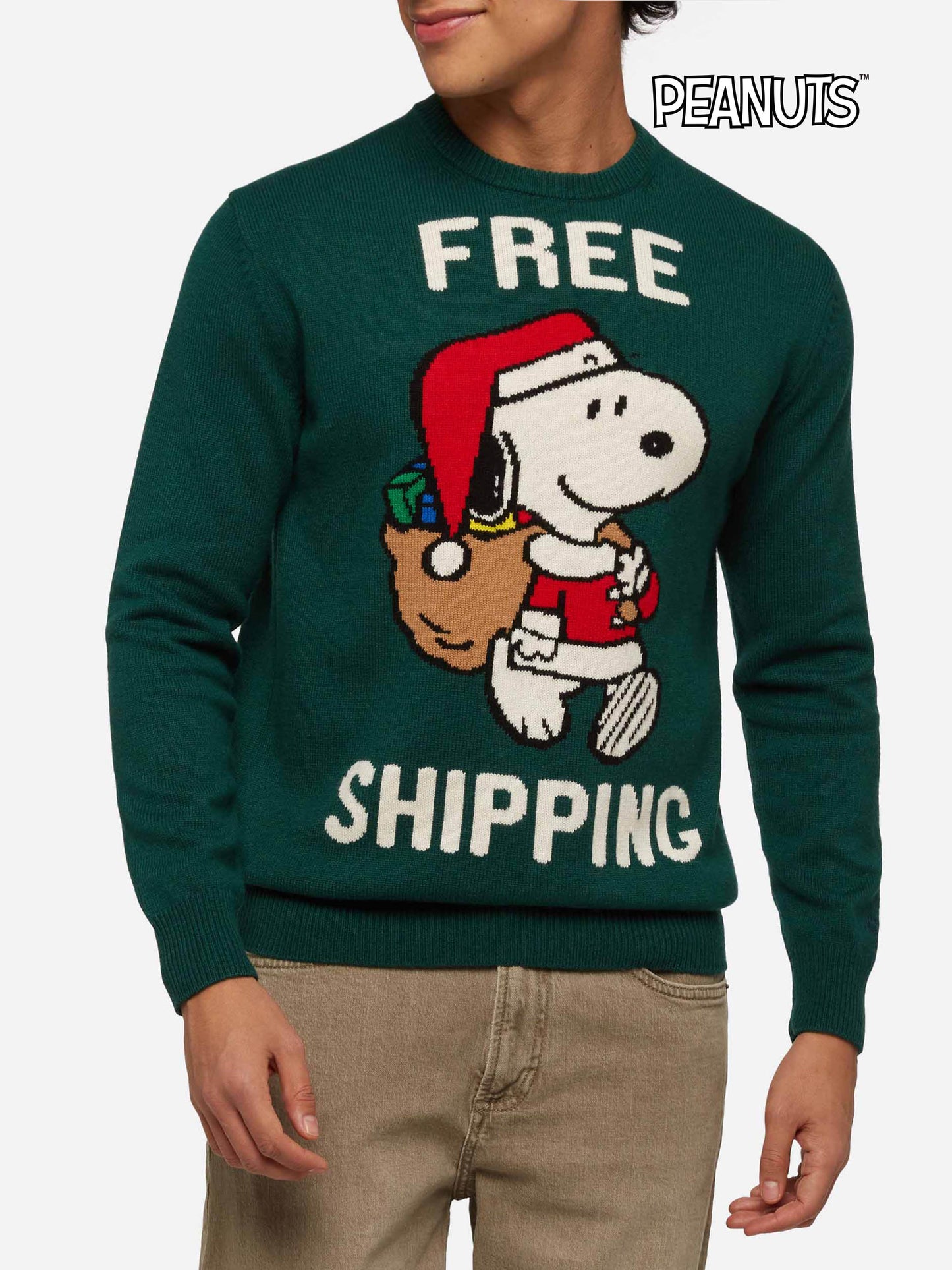 Green sweater Heron with Snoopy jacquard | SNOOPY PEANUTS® SPECIAL EDITION