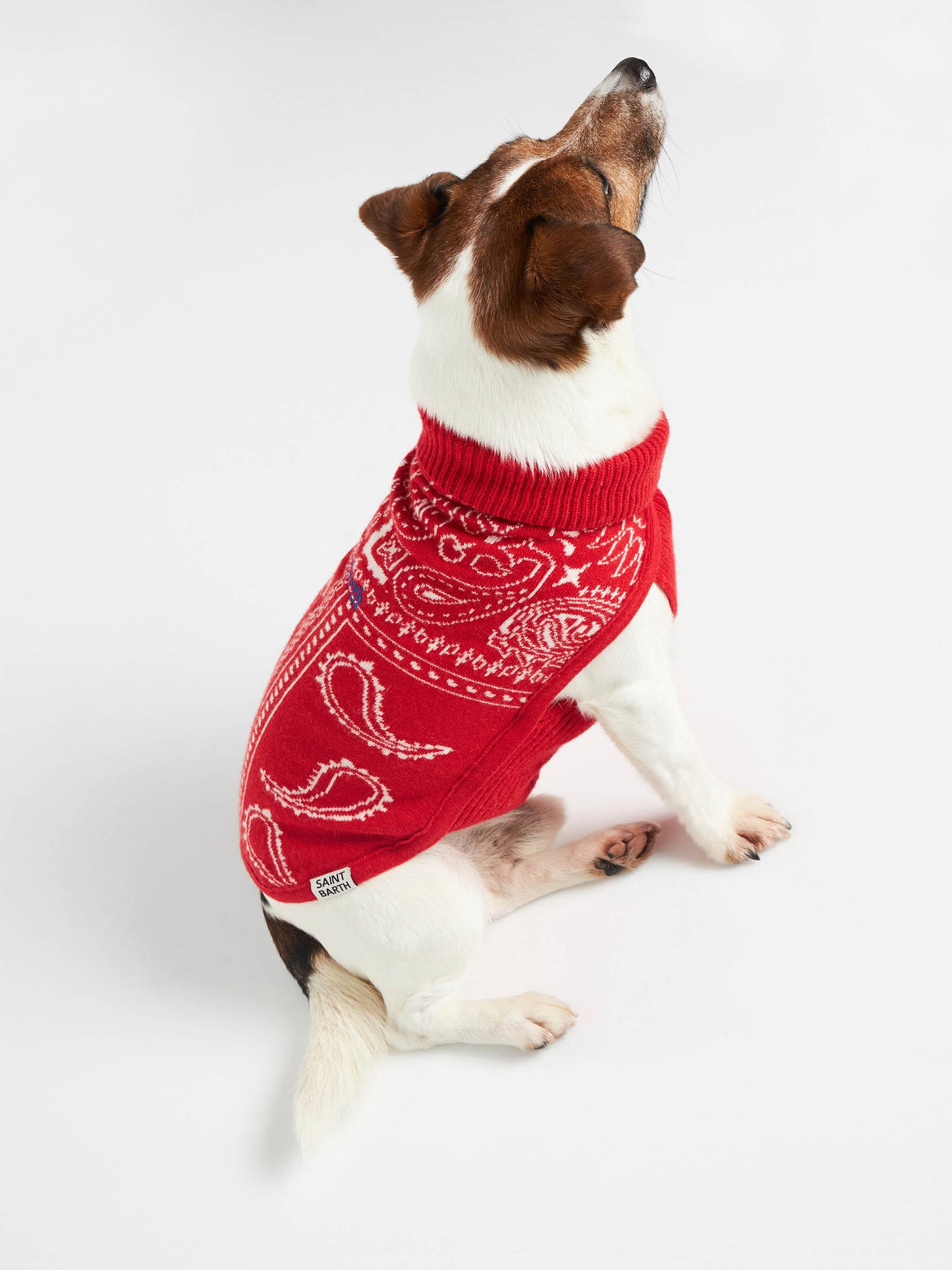 Dog sweater with bandanna jacquard
