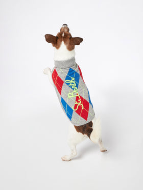 Dog sweater with argyle print