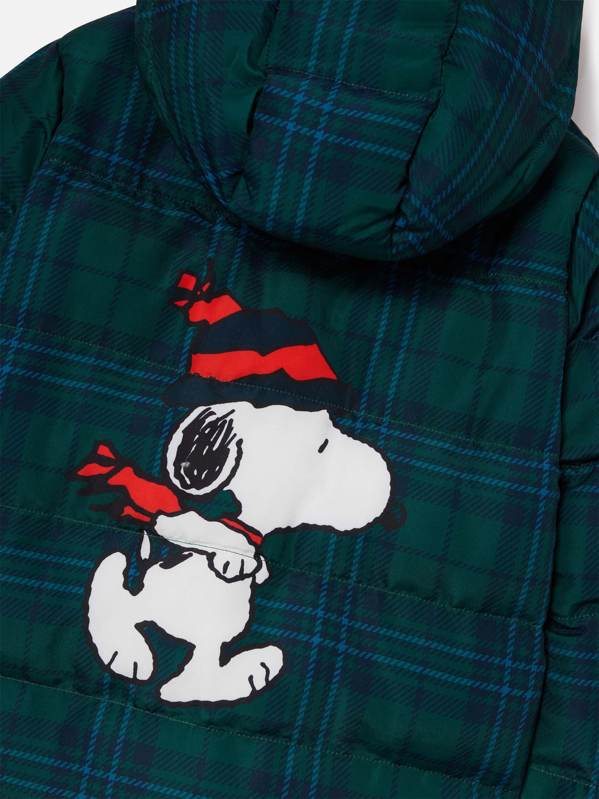 Giacca Baxter verde con stampa Snoopy sul retro | Special edition