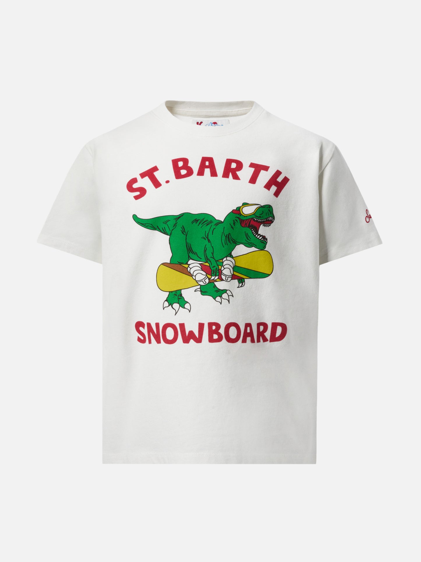 Heavy cotton t-shirt Cameron with skater dinosaur print