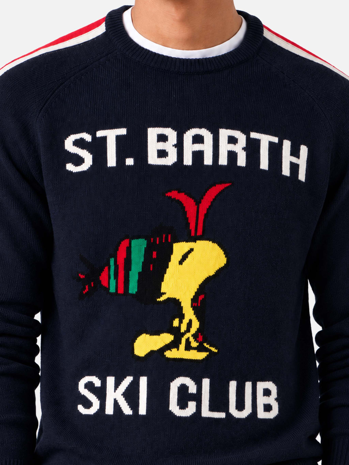 Maglione girocollo Heron con jacquard Woodstock | PEANUTS™ SPECIAL EDITION