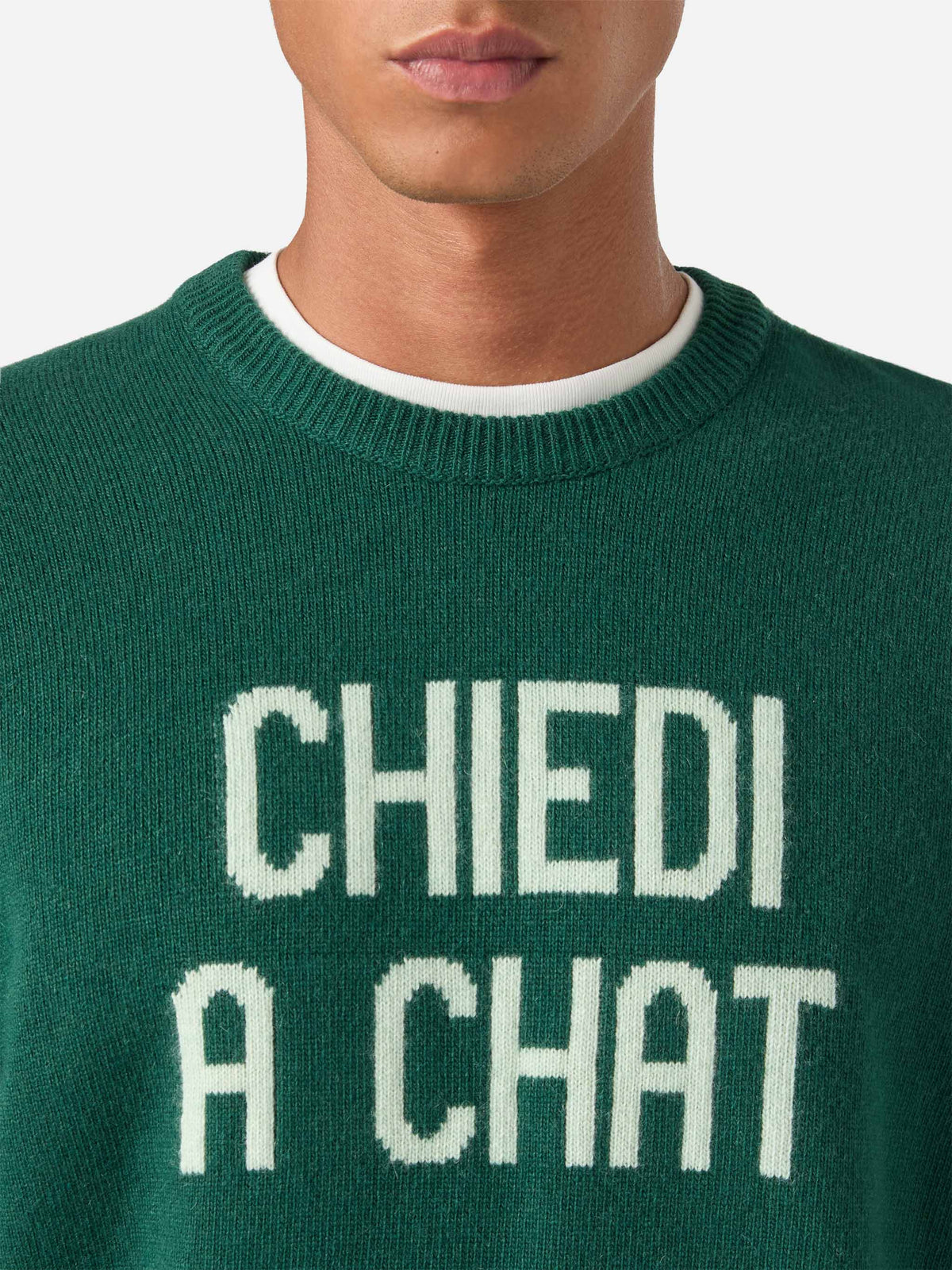 Pull col rond Green Heron en maille avec intarsia Chiedi A Chat 