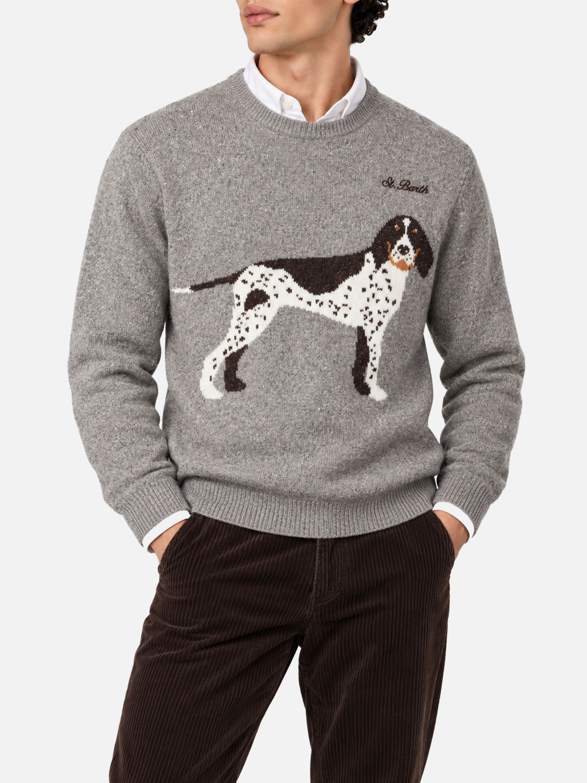 Pull pour chien Heron grey donegal 