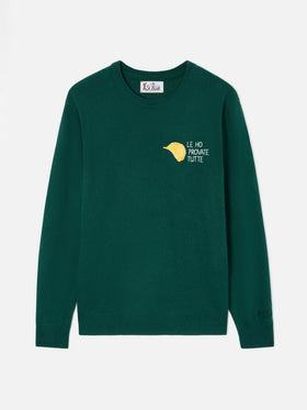 Green Heron Rundhals-Pullover aus leichter Woll- und Kaschmirmischung mit Amica Chips-Stickerei | Special edition 