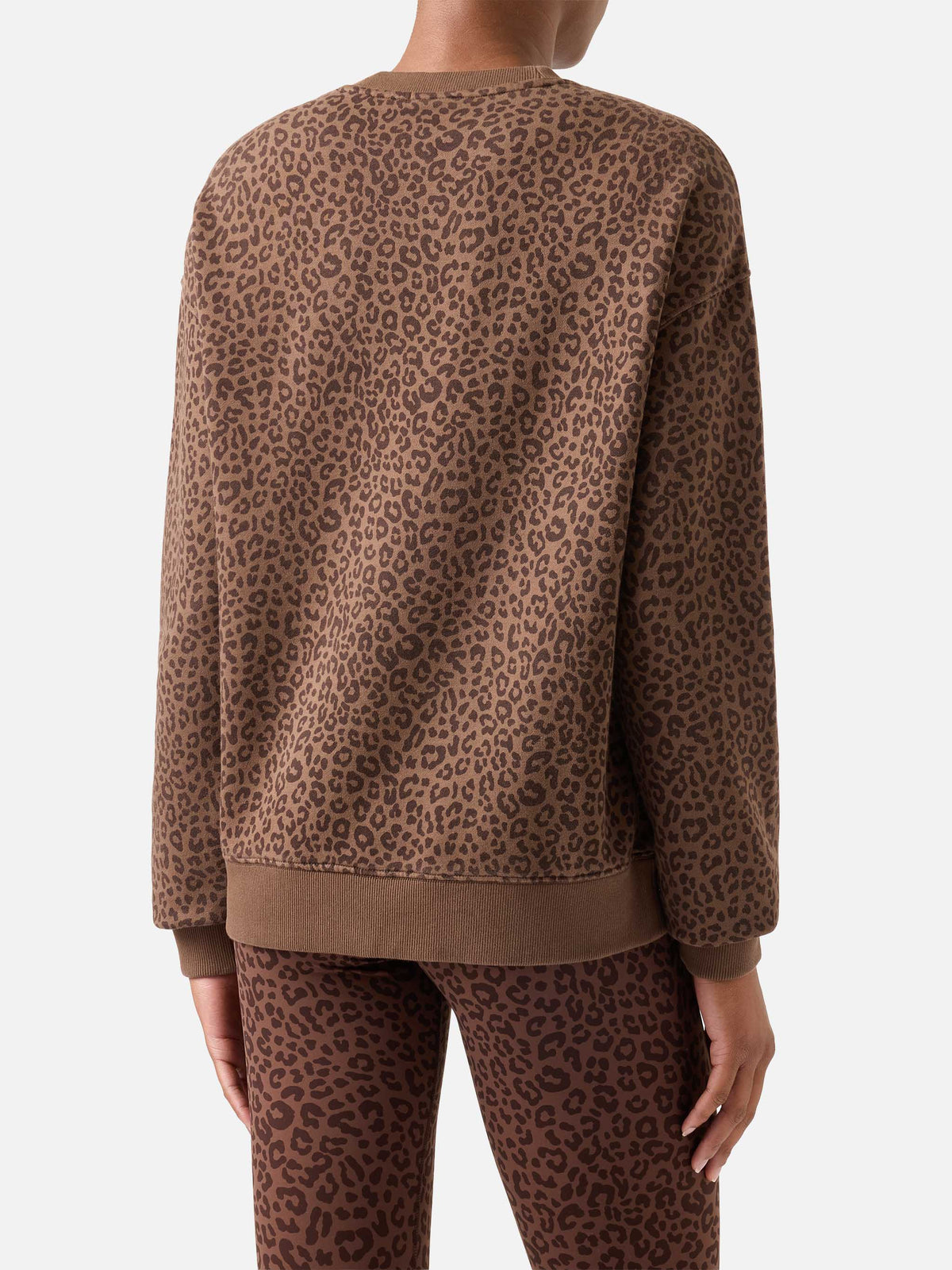 Stardust sweatshirt with leopard print