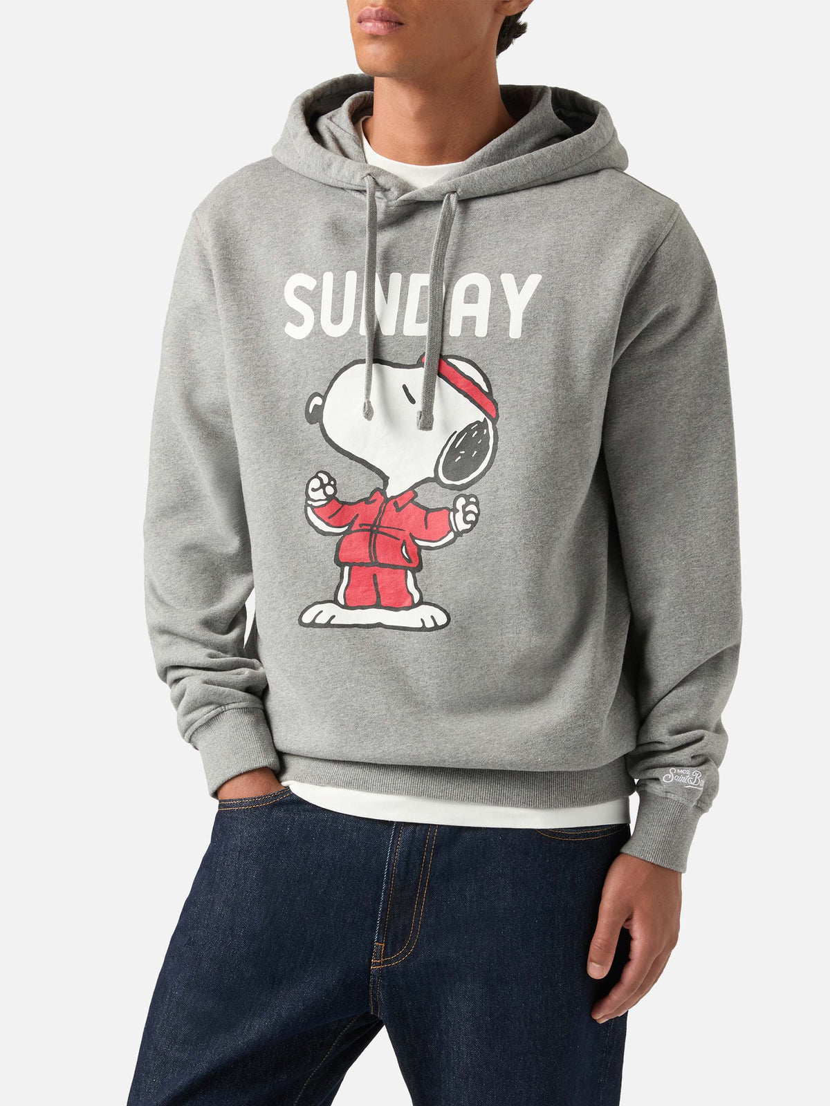 Sudadera con capucha Tribeca de algodón gris con estampado de Snoopy | Special edition 
