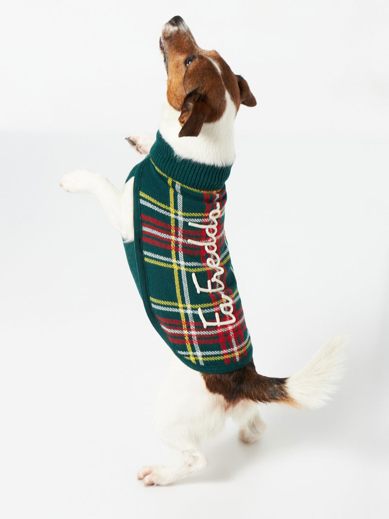 Hundepullover mit Tartan-Print